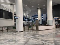 -望京西(地铁站)