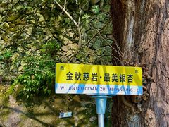 -大慈岩风景区