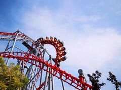 -青岛方特梦幻王国