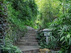 -广州兰圃