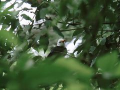 -东天目山风景区