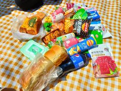 -上海共青森林公园