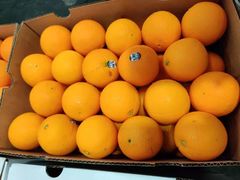 -上海龙吴水胜海发市场