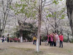 -堤角公园