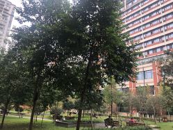 -重庆市妇幼保健院(冉家坝院区)