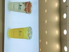 -1点点(石家庄长安万达店)