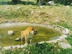 -西安秦岭野生动物园