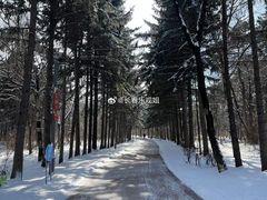 -长春市南湖公园