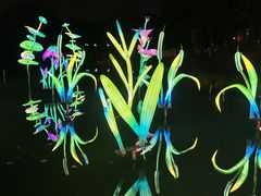 -月芽·自由餐厅·西溪湿地餐厅