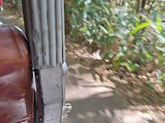 -普洱太阳河森林公园