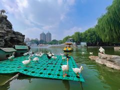 -团结湖公园