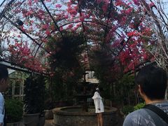 -The Grounds of Alexandria