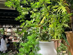 -自由生长植物工作室(深港花卉中心店)