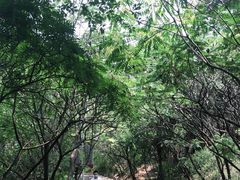 -抱犊寨风景区