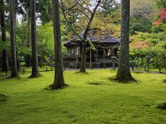 -三千院