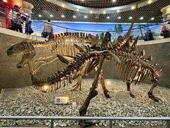 -国家自然博物馆