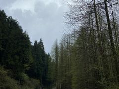 -山王坪喀斯特国家生态公园