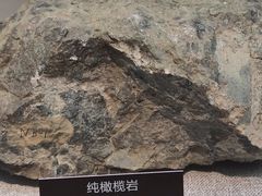 -甘肃地质博物馆