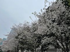 -瑞慈体检上海陆家嘴机构