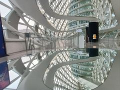 -凤凰中心