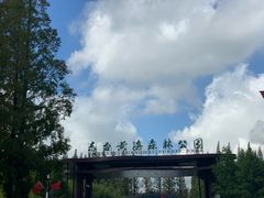 -黄海国家森林公园