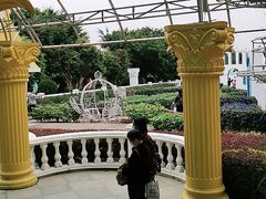 -百万葵园