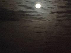 黄金蟹粉面-十面春风·江南面馆(崇宁路店)