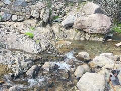 -MOJ coffee(瓯海泽雅水碓坑店)