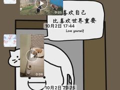 -趣玩宠物乐园寄养训犬训狗游泳池