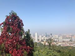 -千佛山风景名胜区