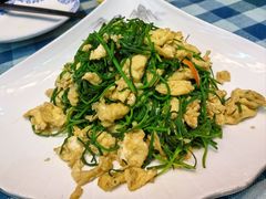 沙葱炒鸡蛋-伊帆食府·青海地方特色美食