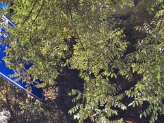 -西安电影制片厂