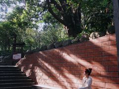 -草庵摩尼教遗址公园