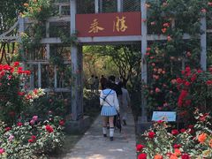 -郑州植物园
