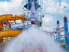 -苏州乐园森林水世界