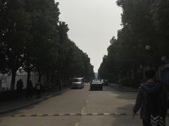 -南京理工大学紫金学院