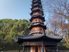 -上海佘山国家森林公园西佘山园