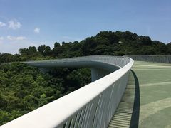 -飞凤山奥体公园
