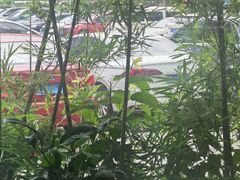 -晋江荣誉国际酒店·港誉茶餐厅