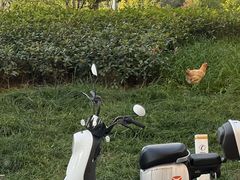 -悟白咖啡WoobyCafe