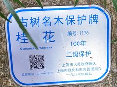 -秋霞圃