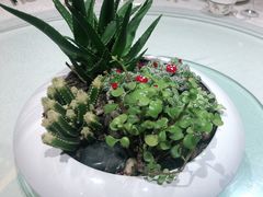 -旺顺阁海鲜广场(亚运村店)