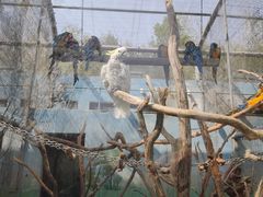 -济南野生动物世界