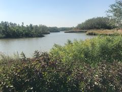 -塘沽森林公园