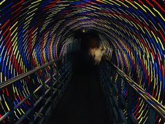 -大连圣亚海洋世界