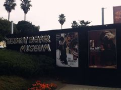 -济州岛泰迪熊博物馆