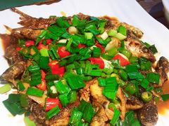 野生小溪鱼-青桃餐厅