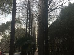 -同里国家湿地公园