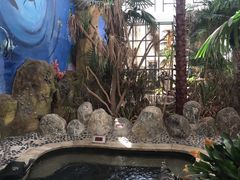 -悦隆庄温泉度假酒店