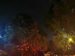 -国色天乡三期陆地乐园